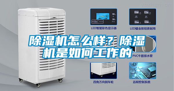 除濕機(jī)怎么樣？除濕機(jī)是如何工作的