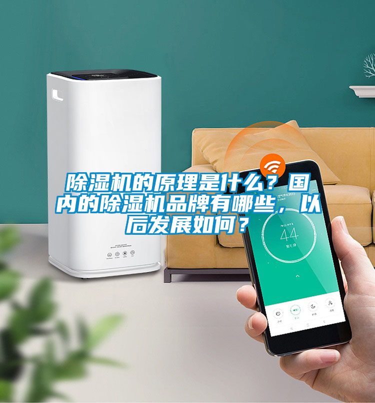 除濕機的原理是什么？國內(nèi)的除濕機品牌有哪些，以后發(fā)展如何？