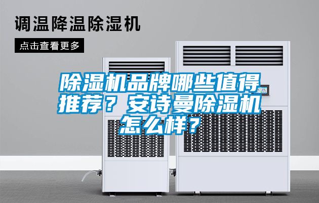 除濕機品牌哪些值得推薦？安詩曼除濕機怎么樣？