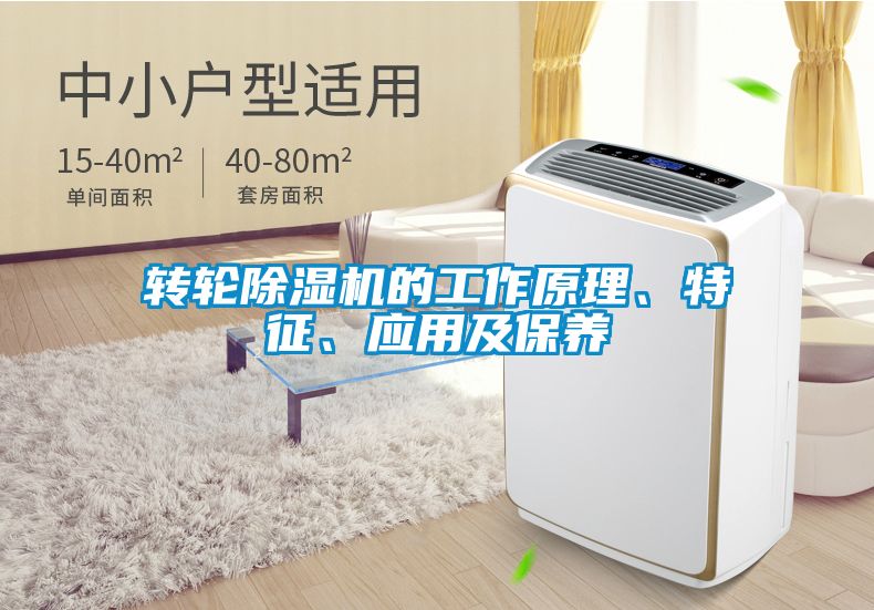 轉(zhuǎn)輪除濕機(jī)的工作原理、特征、應(yīng)用及保養(yǎng)
