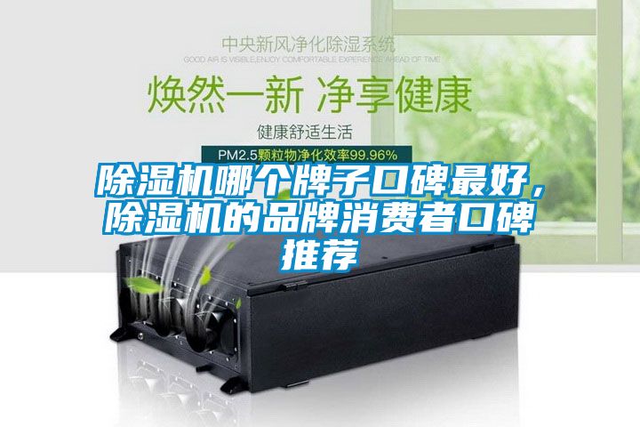除濕機(jī)哪個(gè)牌子口碑最好，除濕機(jī)的品牌消費(fèi)者口碑推薦