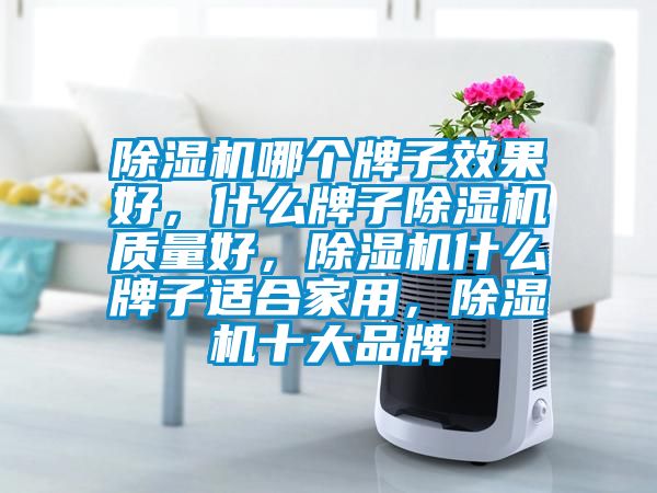 除濕機哪個牌子效果好，什么牌子除濕機質(zhì)量好，除濕機什么牌子適合家用，除濕機十大品牌