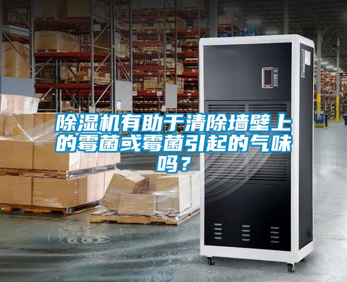 除濕機(jī)有助于清除墻壁上的霉菌或霉菌引起的氣味嗎？