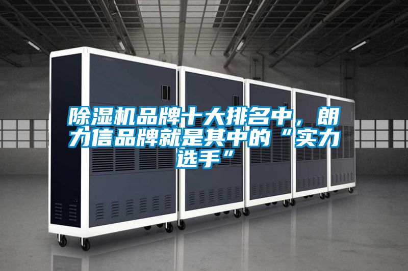 除濕機(jī)品牌十大排名中，朗力信品牌就是其中的“實(shí)力選手”