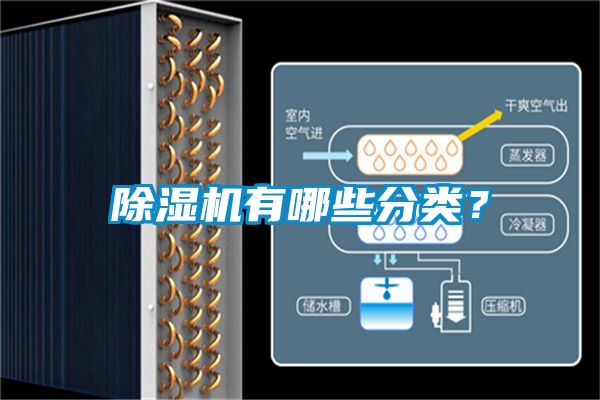 除濕機(jī)有哪些分類(lèi)？