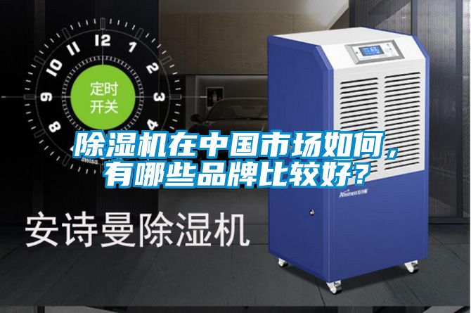 除濕機在中國市場如何，有哪些品牌比較好？