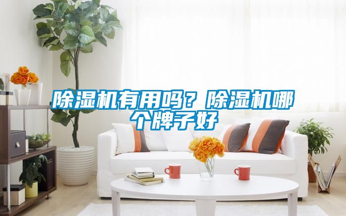 除濕機有用嗎？除濕機哪個牌子好