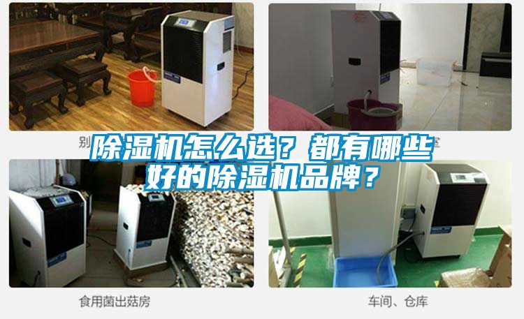 除濕機(jī)怎么選？都有哪些好的除濕機(jī)品牌？