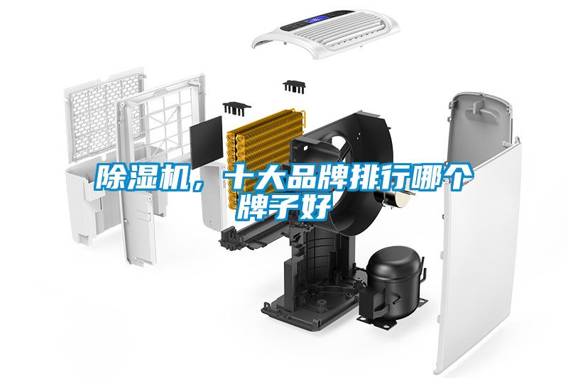 除濕機，十大品牌排行哪個牌子好