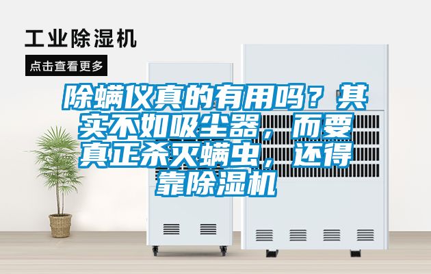 除螨儀真的有用嗎？其實(shí)不如吸塵器，而要真正殺滅螨蟲(chóng)，還得靠除濕機(jī)