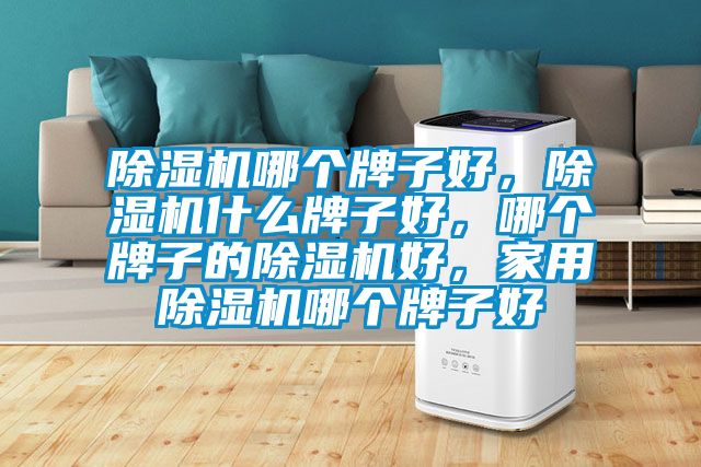 除濕機(jī)哪個(gè)牌子好，除濕機(jī)什么牌子好，哪個(gè)牌子的除濕機(jī)好，家用除濕機(jī)哪個(gè)牌子好