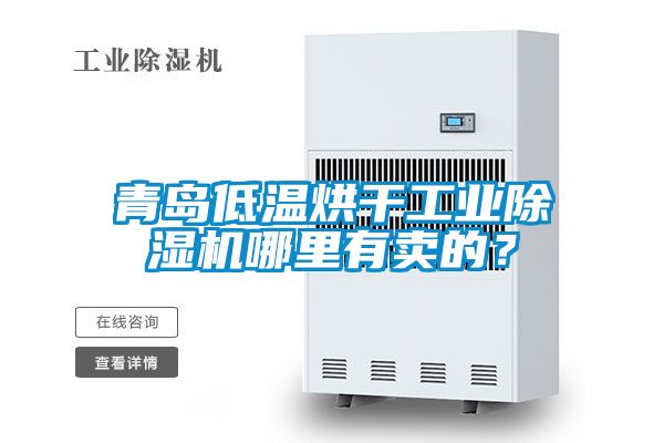 青島低溫烘干工業(yè)除濕機(jī)哪里有賣的？