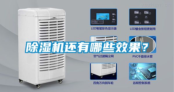 除濕機還有哪些效果？