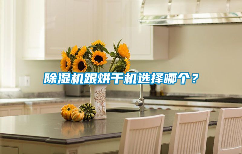 除濕機跟烘干機選擇哪個？