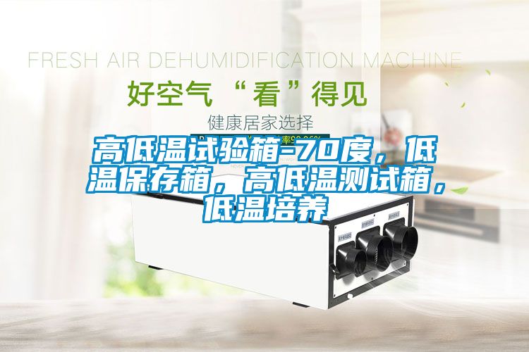 高低溫試驗箱-70度，低溫保存箱，高低溫測試箱，低溫培養(yǎng)