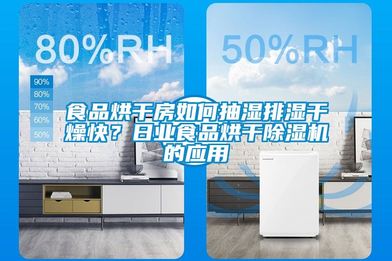 食品烘干房如何抽濕排濕干燥快？日業(yè)食品烘干除濕機的應用