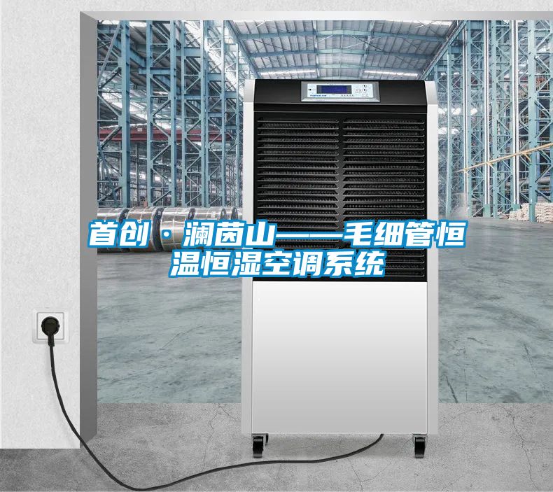 首創(chuàng)·瀾茵山——毛細管恒溫恒濕空調系統(tǒng)