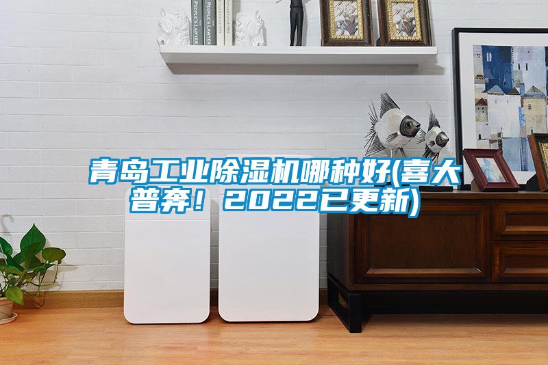 青島工業(yè)除濕機(jī)哪種好(喜大普奔！2022已更新)