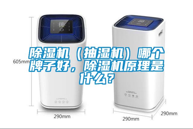 除濕機（抽濕機）哪個牌子好，除濕機原理是什么？