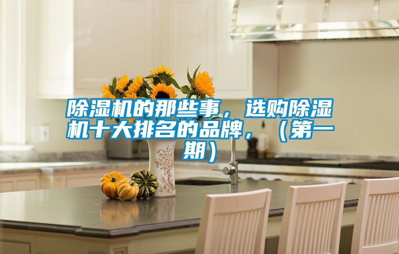 除濕機(jī)的那些事，選購除濕機(jī)十大排名的品牌，（第一期）