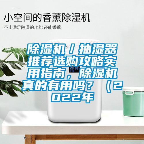 除濕機(jī)／抽濕器推薦選購(gòu)攻略實(shí)用指南，除濕機(jī)真的有用嗎？（2022年