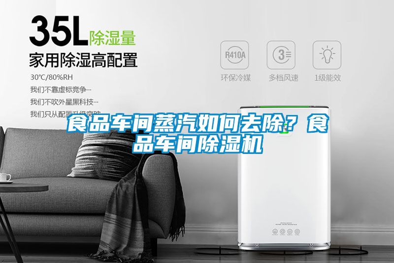 食品車間蒸汽如何去除？食品車間除濕機(jī)