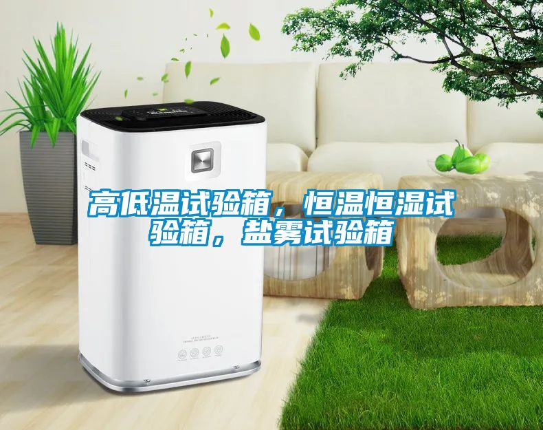 高低溫試驗箱，恒溫恒濕試驗箱，鹽霧試驗箱