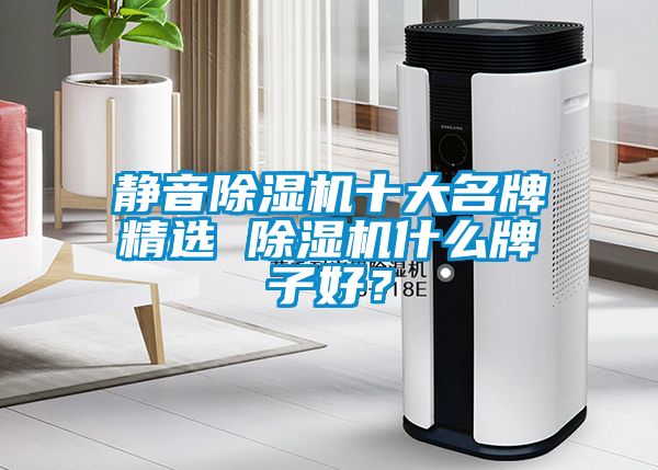 靜音除濕機十大名牌精選 除濕機什么牌子好？