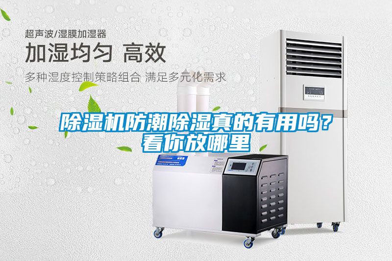 除濕機(jī)防潮除濕真的有用嗎？看你放哪里