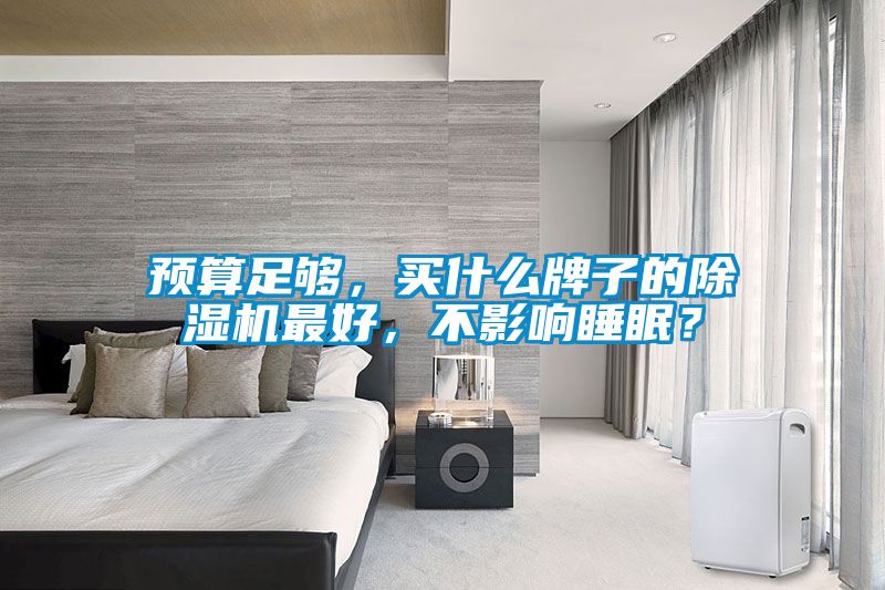 預(yù)算足夠，買什么牌子的除濕機(jī)最好，不影響睡眠？