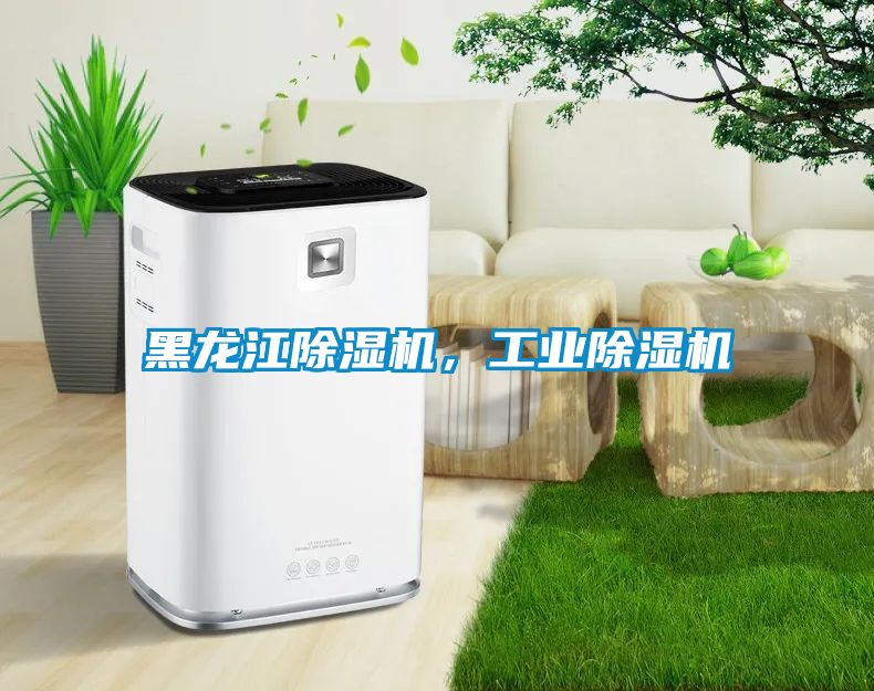 黑龍江除濕機，工業(yè)除濕機