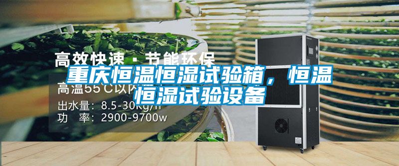 重慶恒溫恒濕試驗(yàn)箱，恒溫恒濕試驗(yàn)設(shè)備