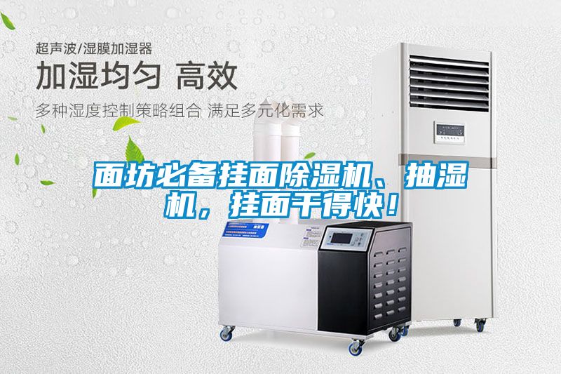 面坊必備掛面除濕機、抽濕機，掛面干得快！