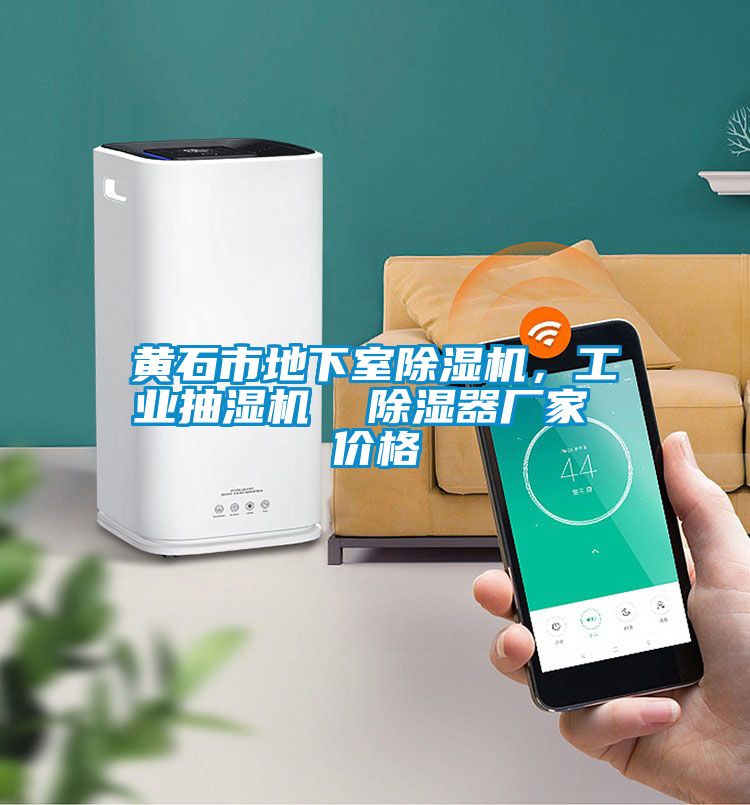 黃石市地下室除濕機(jī)，工業(yè)抽濕機(jī)  除濕器廠家 價(jià)格