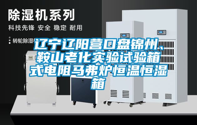 遼寧遼陽營口盤錦州、鞍山老化實驗試驗箱式電阻馬弗爐恒溫恒濕箱