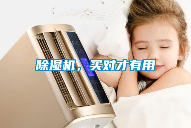 除濕機，買對才有用