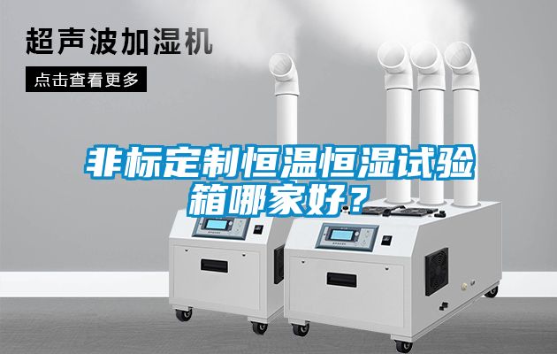非標(biāo)定制恒溫恒濕試驗(yàn)箱哪家好？