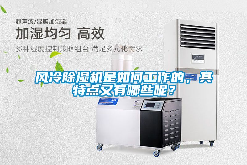 風(fēng)冷除濕機(jī)是如何工作的，其特點(diǎn)又有哪些呢？