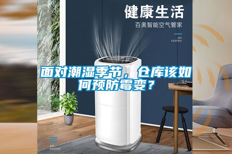 面對潮濕季節(jié)，倉庫該如何預(yù)防霉變？