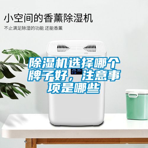 除濕機(jī)選擇哪個(gè)牌子好，注意事項(xiàng)是哪些