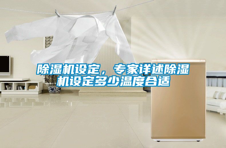 除濕機(jī)設(shè)定，專家詳述除濕機(jī)設(shè)定多少溫度合適