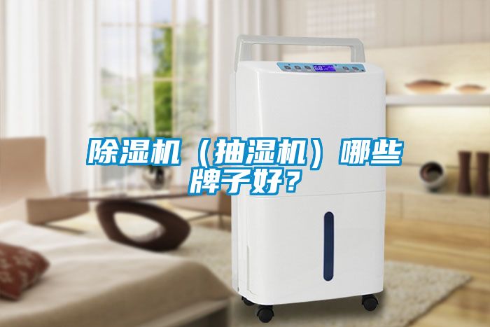 除濕機（抽濕機）哪些牌子好？