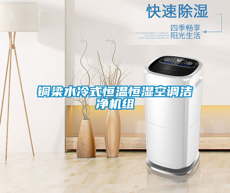 銅梁水冷式恒溫恒濕空調(diào)潔凈機組