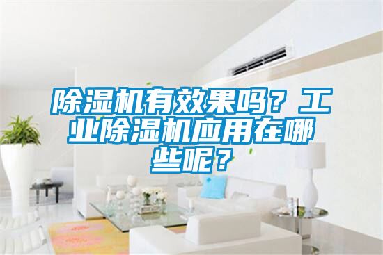 除濕機有效果嗎？工業(yè)除濕機應(yīng)用在哪些呢？
