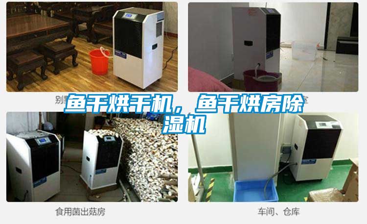 魚(yú)干烘干機(jī)，魚(yú)干烘房除濕機(jī)