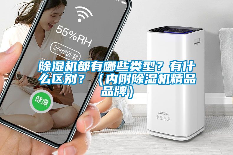除濕機(jī)都有哪些類型？有什么區(qū)別？（內(nèi)附除濕機(jī)精品品牌）