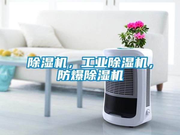 除濕機，工業(yè)除濕機，防爆除濕機
