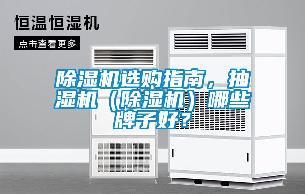 除濕機選購指南，抽濕機（除濕機）哪些牌子好？