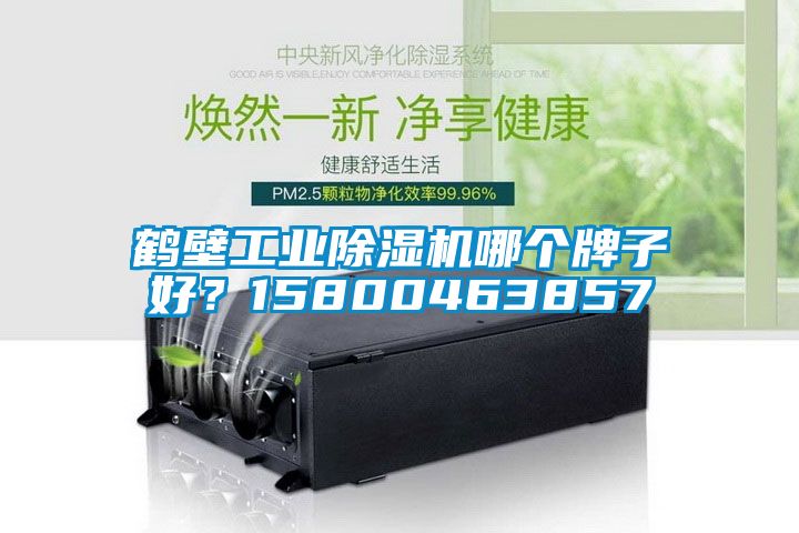 鶴壁工業(yè)除濕機(jī)哪個牌子好？15800463857