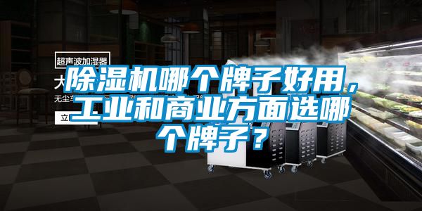除濕機(jī)哪個(gè)牌子好用，工業(yè)和商業(yè)方面選哪個(gè)牌子？